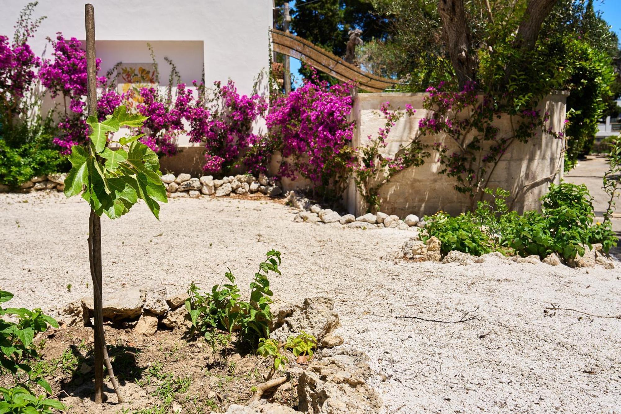 Tenuta Belvedere Aparthotel Otranto Exterior photo