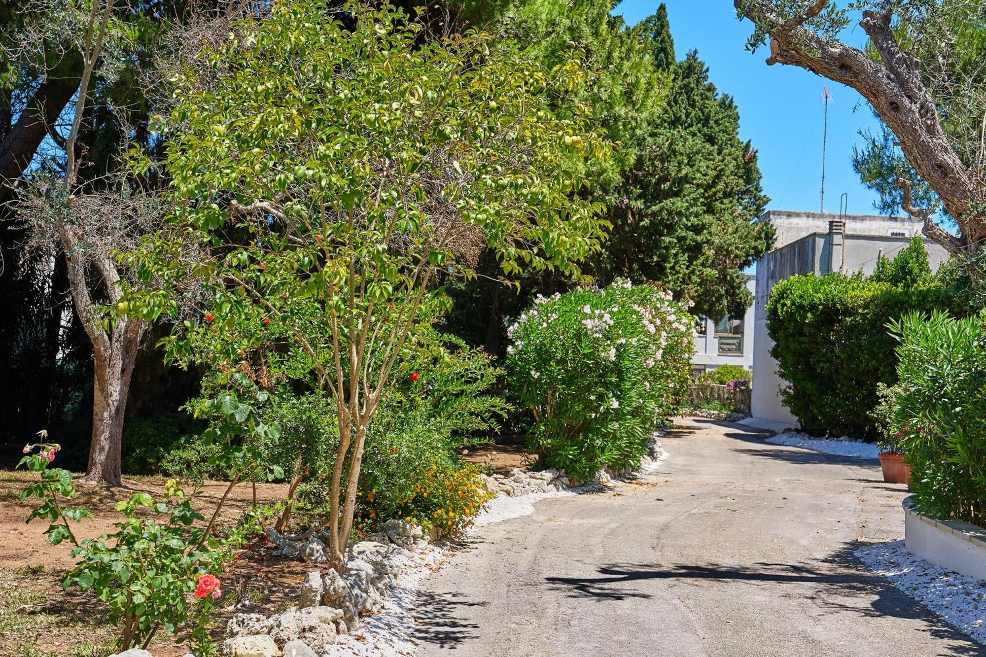 Tenuta Belvedere Aparthotel Otranto Exterior photo